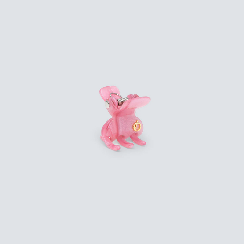 piranha-de-cabelo-mini-ballet