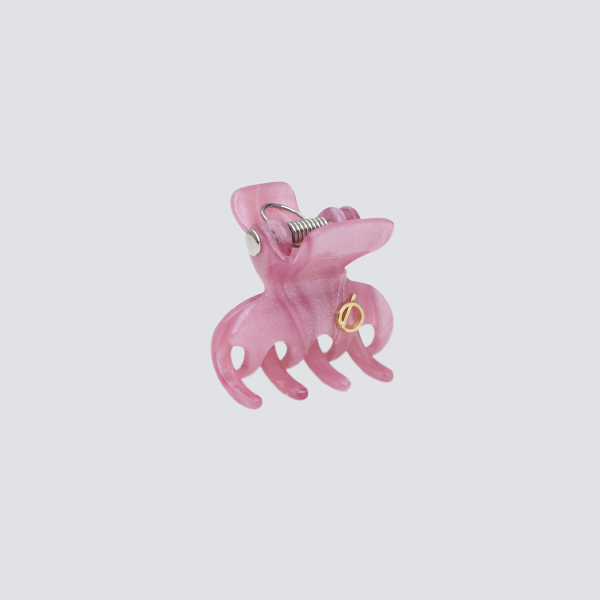 piranha-de-cabelo-small-ballet