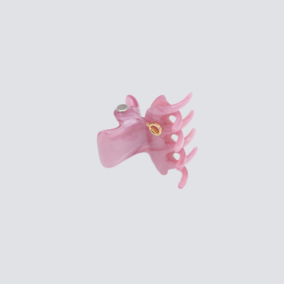 piranha-de-cabelo-small-ballet